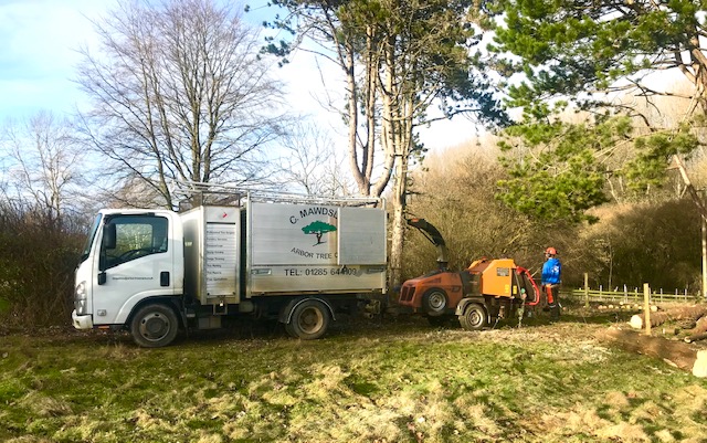 Arbor Tree Care chipper wagon