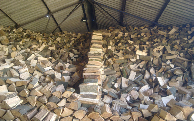 Pile of firewood