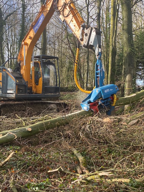 tree machinery